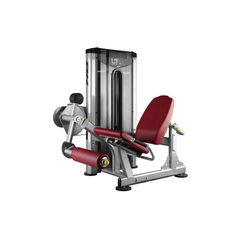 Leg extension BH FITNESS HIPL010PB