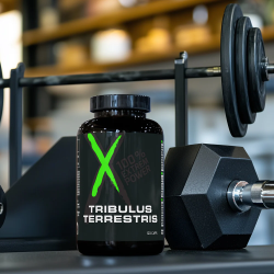 Tribulus Terrestris XNATIV Pilulier de 120 gélules FITTRIBU120