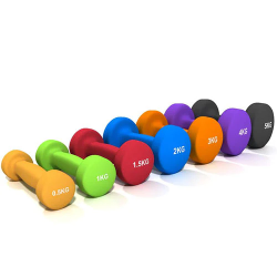 Paire Haltères Vinyle FITNESS DOCTOR FITHALVINY1