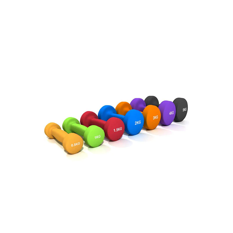 Paire Haltères Vinyle FITNESS DOCTOR FITHALVINY1