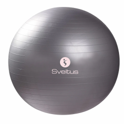 Gymball gris 65cm SVELTUS 65 cm diamètre SVE0440