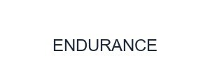 ENDURANCE